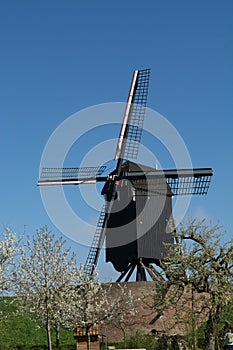 Old windmill in Netherlands, spring season