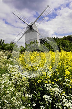 Old Windmill with Oilseed and wild flowers