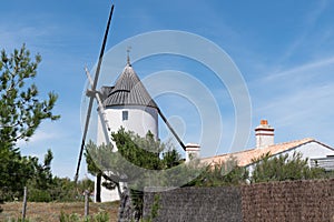 Old windmill typical island of Noirmoutier Vendee France