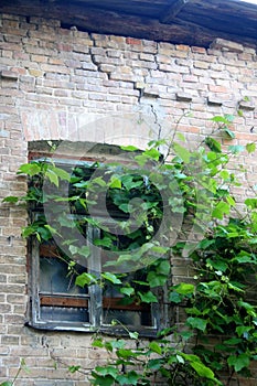 An old window in an abandoned brick house