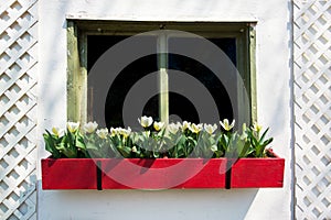 Old Window Flower Box