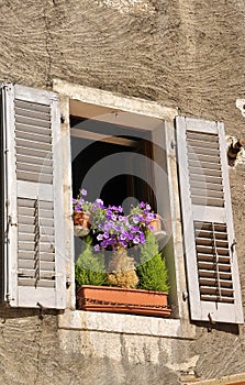 Old window with flowers