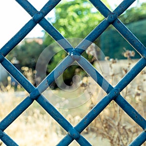 Old Window Iron Bars