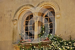 Old window of medieval house with jasmine