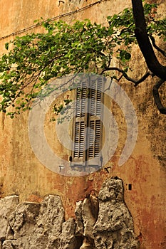 Old window of medieval house under tree