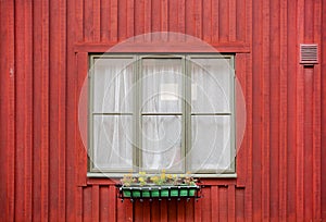 Old window of a red color wooden house, with flowerpot on facade. Stockholm, Sweden