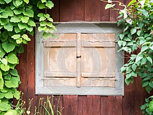 Old window with shutters closed