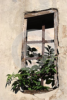 Old window with steel lattice