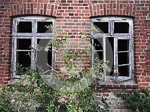 old windows