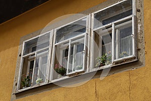 Old windows with flowers on the windowsill