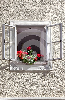 Old windows in Salzburg, Austria