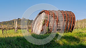 Old wine barrel lying on a vineyard