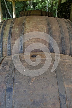 Old wine barrels in vineyard storage