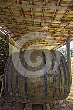 Old wine barrels in vineyard storage