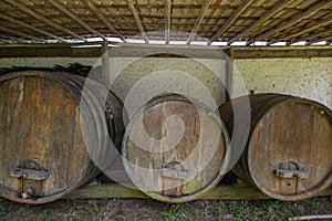 Old wine barrels in vineyard storage