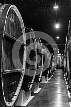 Old wine barrels in a wine cellar