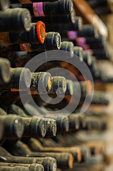 Old wine bottles covered with dust