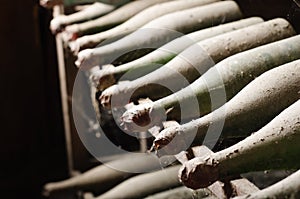 Old wine bottles in the old dark cellar