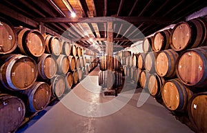 Old wine cellar with barrels in stacks photo