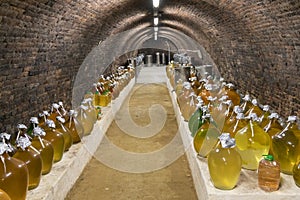 Old wine cellar in Pecs, Hungary