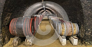 Old wine cellar in Pecs, Hungary