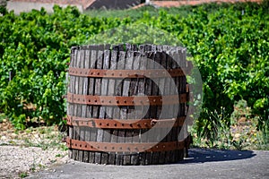 Old wine press in Chateauneuf-du-Pape wine making village in France with green vineyards on large pebbles galets and sandstone