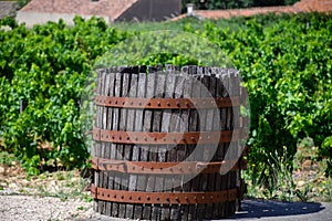 Old wine press in Chateauneuf-du-Pape wine making village in France with green vineyards on large pebbles galets and sandstone