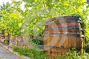 Old wine press and rustic wine barrel.. Wine background in Europe. Czech Republic, South Moravia