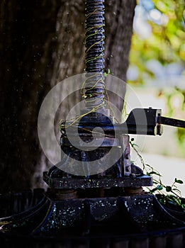 Old wine pressing machine in the garden of Krone MCC Wine Estate in Tulbagh Valley in South Africa