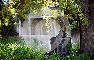 Old wine pressing machine in the garden of Krone MCC Wine Estate in Tulbagh Valley in South Africa