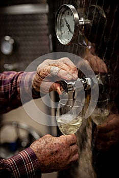 Old winemakers hands pouring a glass of wine from modern inox ta