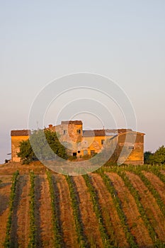 Old winery, Tuscany, Italy