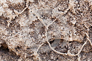 Old wire netting in concrete