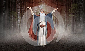 Old Wise Evil Wizard, Woods