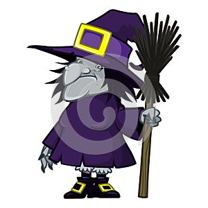 Old witch in a hat and with a magic broom