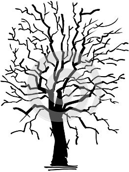 Old withered tree cartoon Vector Clipart