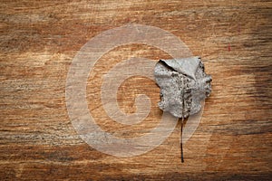 An old, withered twisted leaf from a tree, photographed on a cracked wooden surface. Symbolizes the old and the frailty of