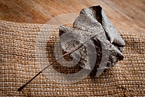 An old, withered twisted leaf from a tree, photographed on a cracked wooden surface. Symbolizes the old and the frailty of