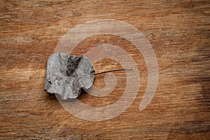 An old, withered twisted leaf from a tree, photographed on a cracked wooden surface. Symbolizes the old and the frailty of