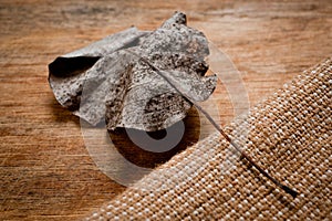 An old, withered twisted leaf from a tree, photographed on a cracked wooden surface. Symbolizes the old and the frailty of