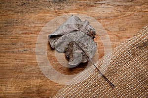 An old, withered twisted leaf from a tree, photographed on a cracked wooden surface. Symbolizes the old and the frailty of