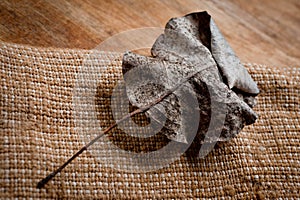 An old, withered twisted leaf from a tree, photographed on a cracked wooden surface. Symbolizes the old and the frailty of photo