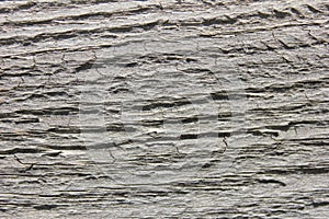 Old woden background texture with natural pattern