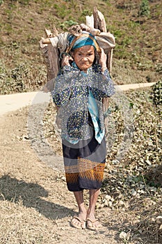 Old woman Asia carry firewood