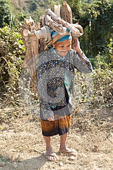 Old woman Asia carry firewood