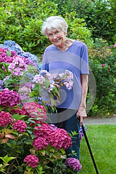 Old Woman with Cane Posing Beside Pretty Flowers