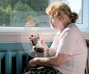 The old woman caress cat photo