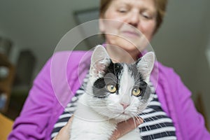 Old woman with a cat - animal therapy