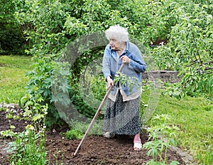 The old woman with a chopper works in a garden