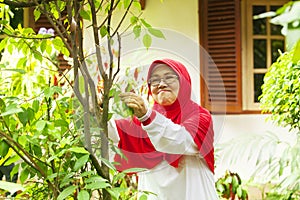 Old woman gardening at backyard